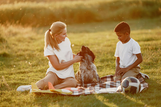 10 Simple Ways to Make Your Pet’s Life Happier