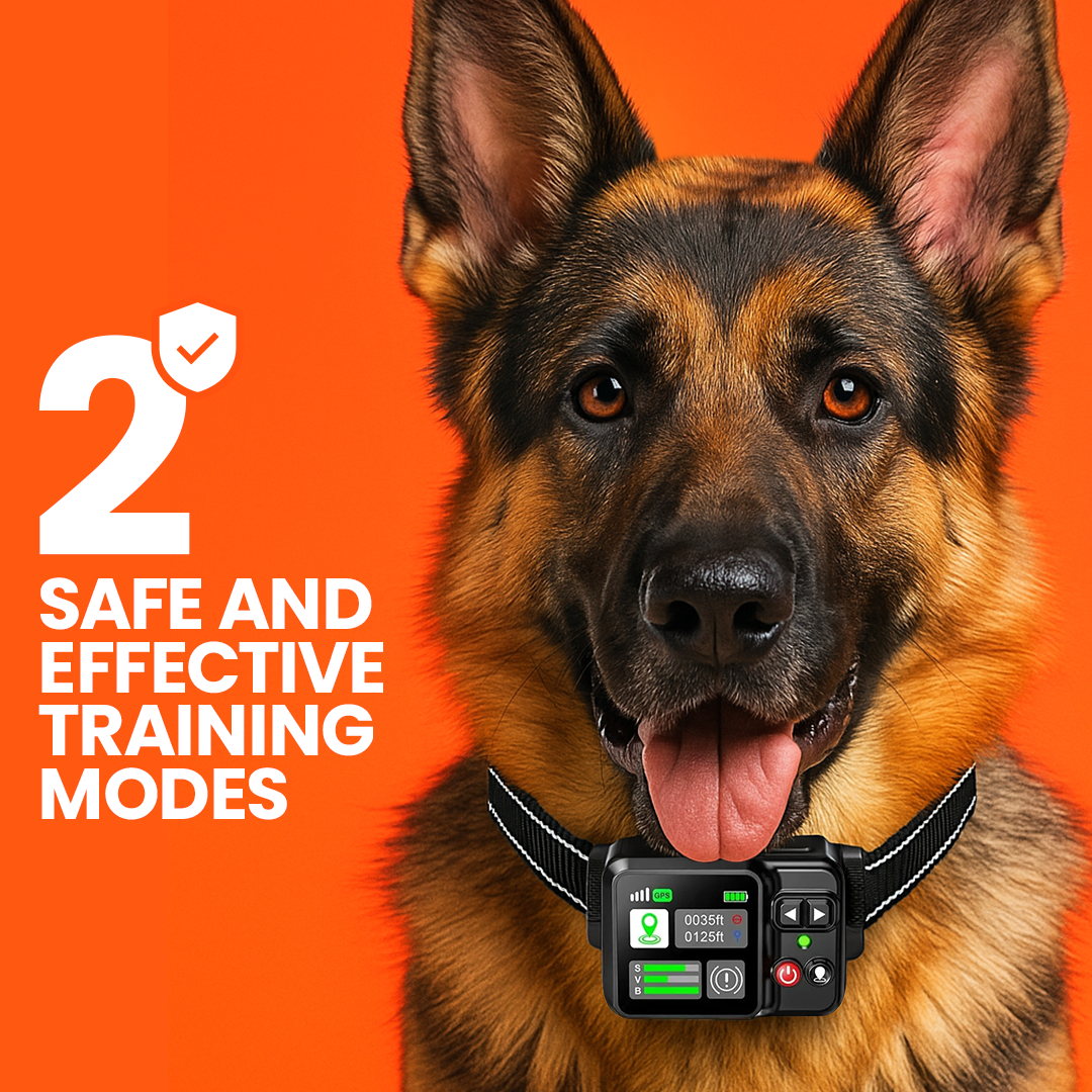 GPS Wireless Dog Fence