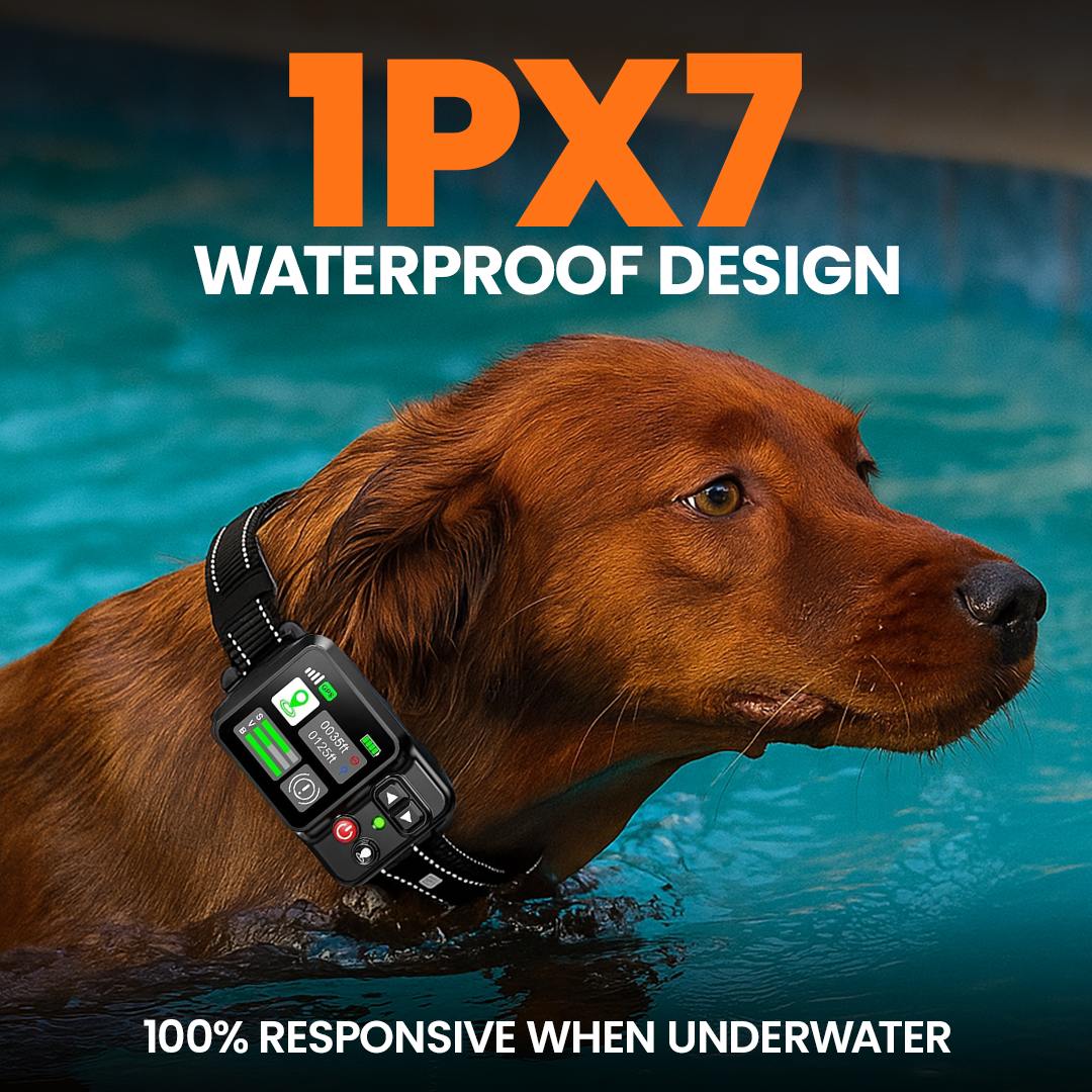 GPS Wireless Dog Fence