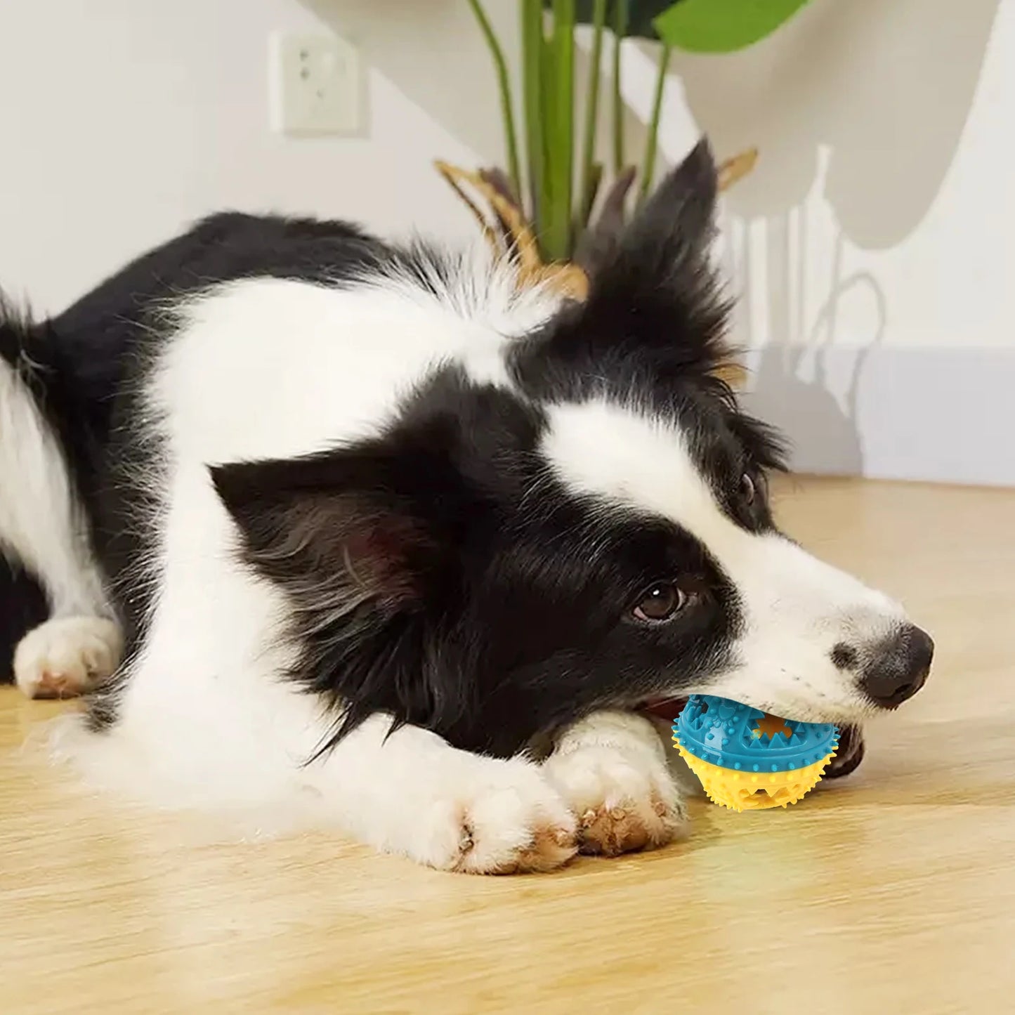 Dog Chew Toys Grinding Teeth