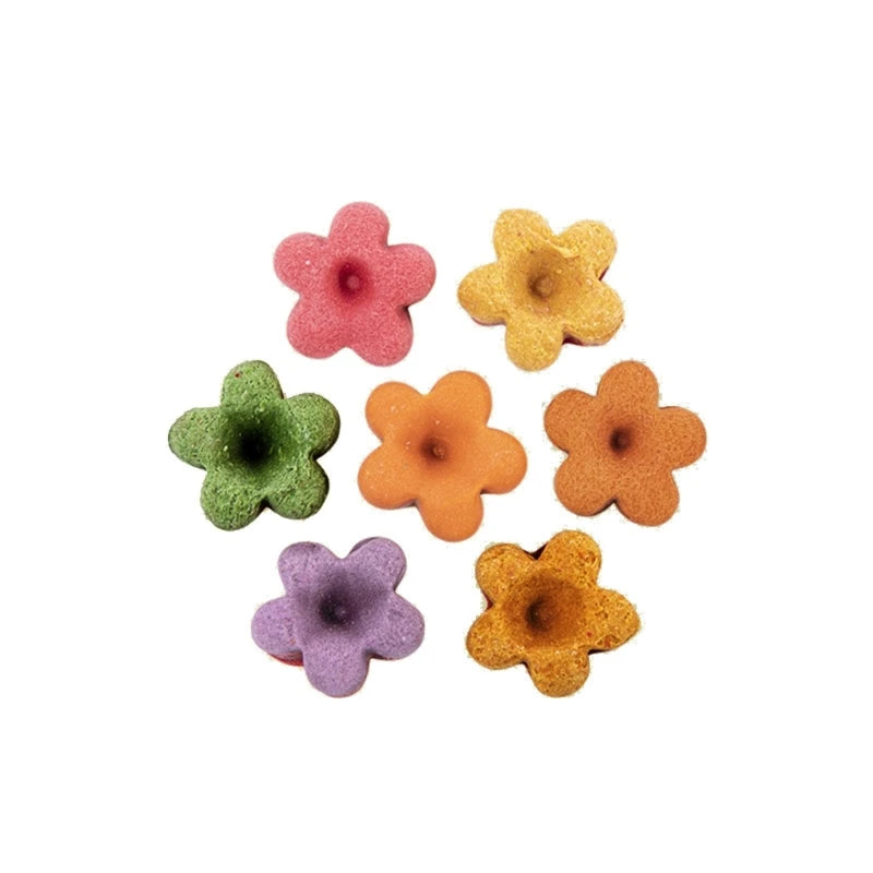 Hamster Treat Rabbit Chew Toy