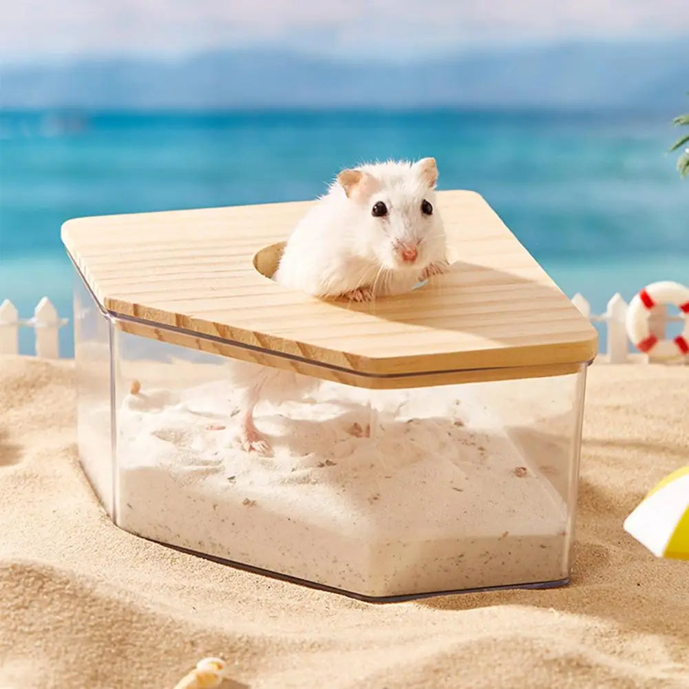 Hamster Golden Bear Sand Bath Box