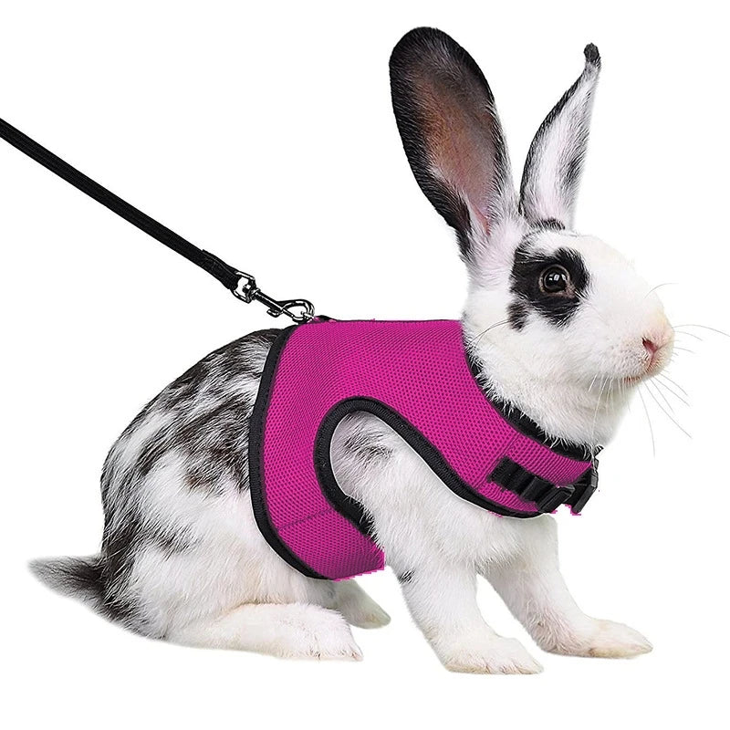 Mutil-Colors Breathable Stylish Vest
