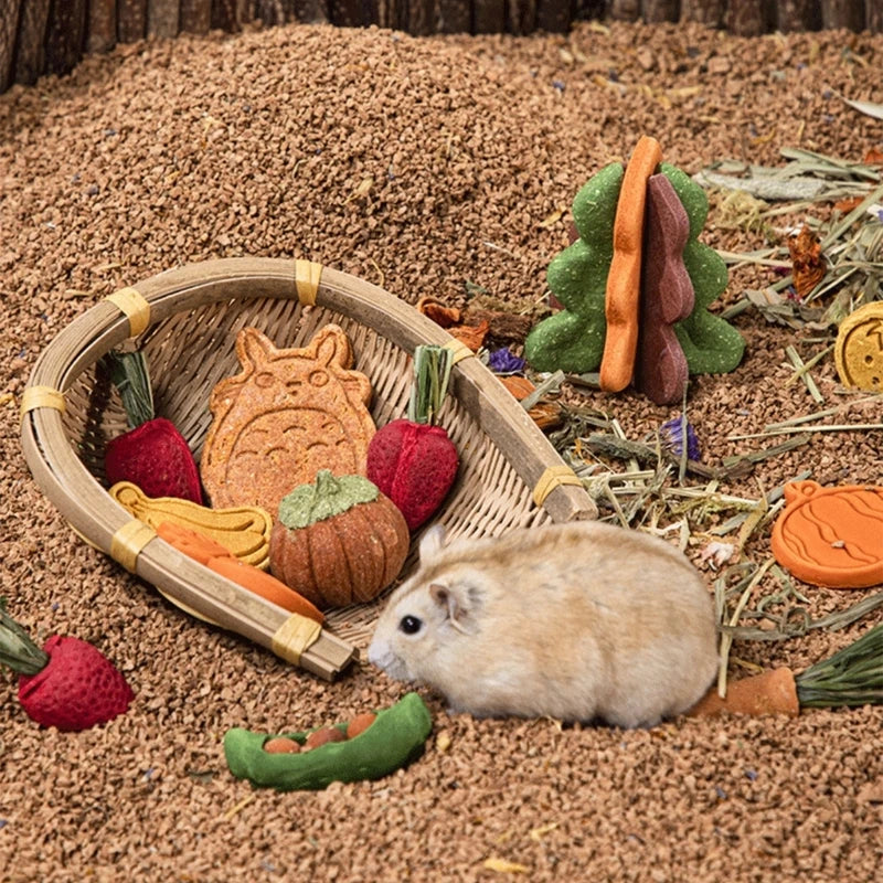 Hamster Treat Rabbit Chew Toy