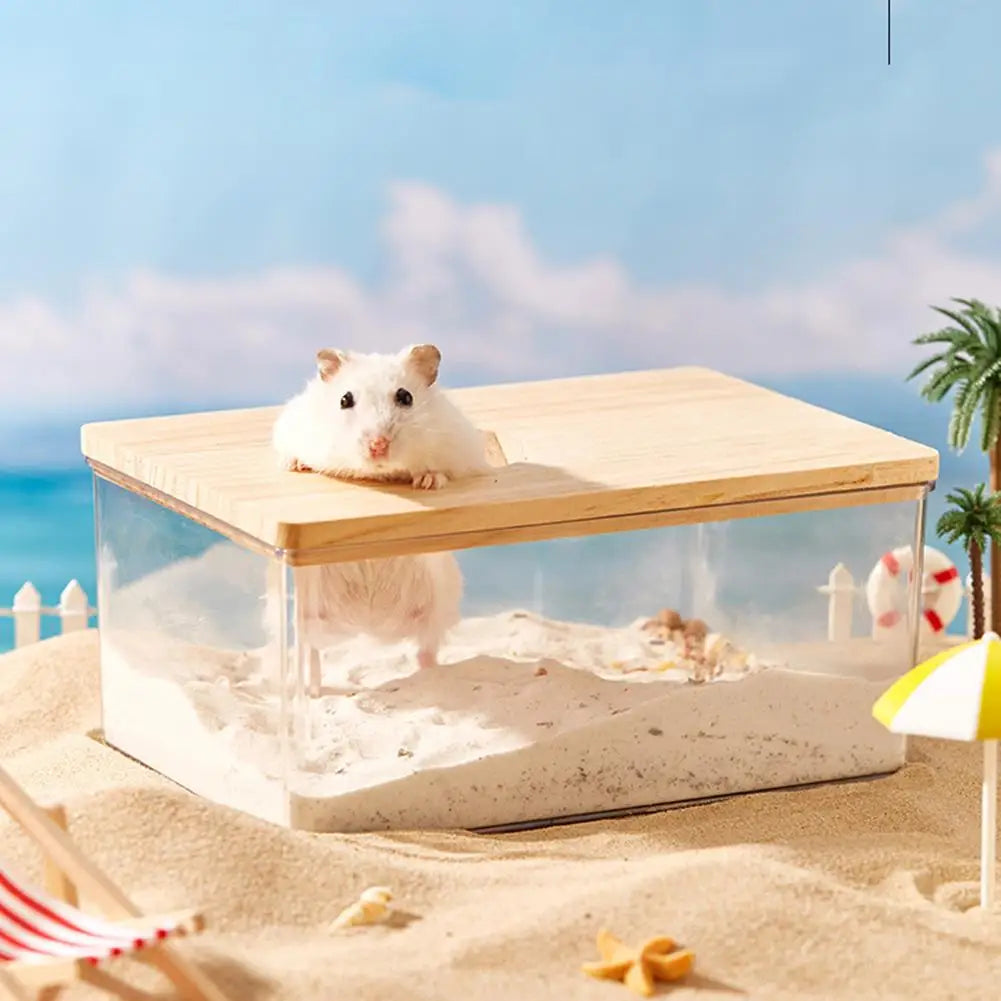Hamster Golden Bear Sand Bath Box