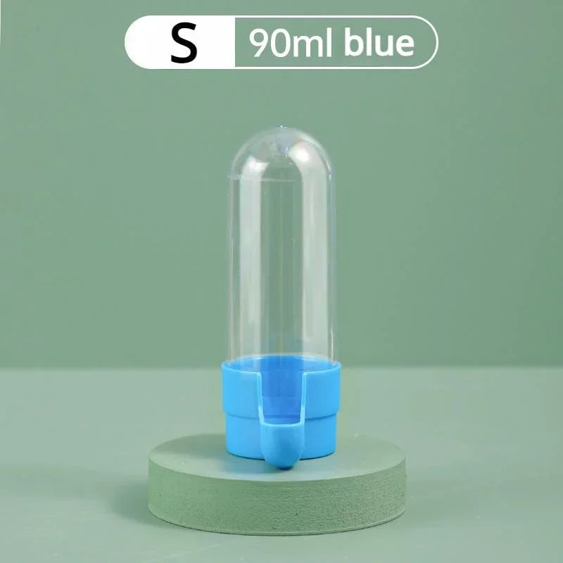 Squirrel Parrot Water Dispenser