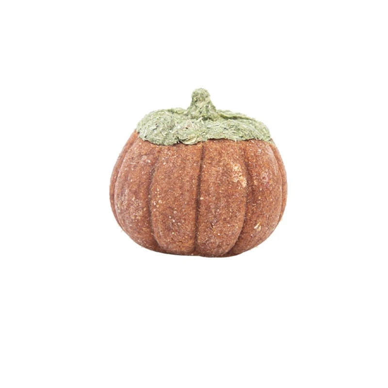 Hamster Treat Rabbit Chew Toy
