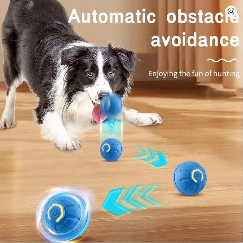 Intelligent pet toy ball electronic