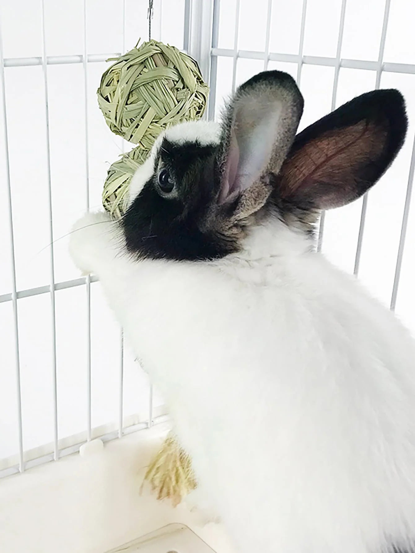 1PC-Pet rabbit grass woven ball