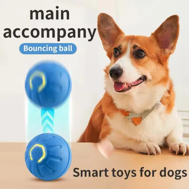 Intelligent pet toy ball electronic