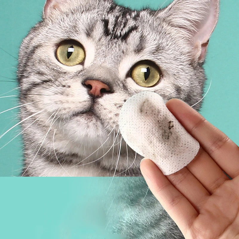 Cats And Dogs Tearmark Wet Wipes