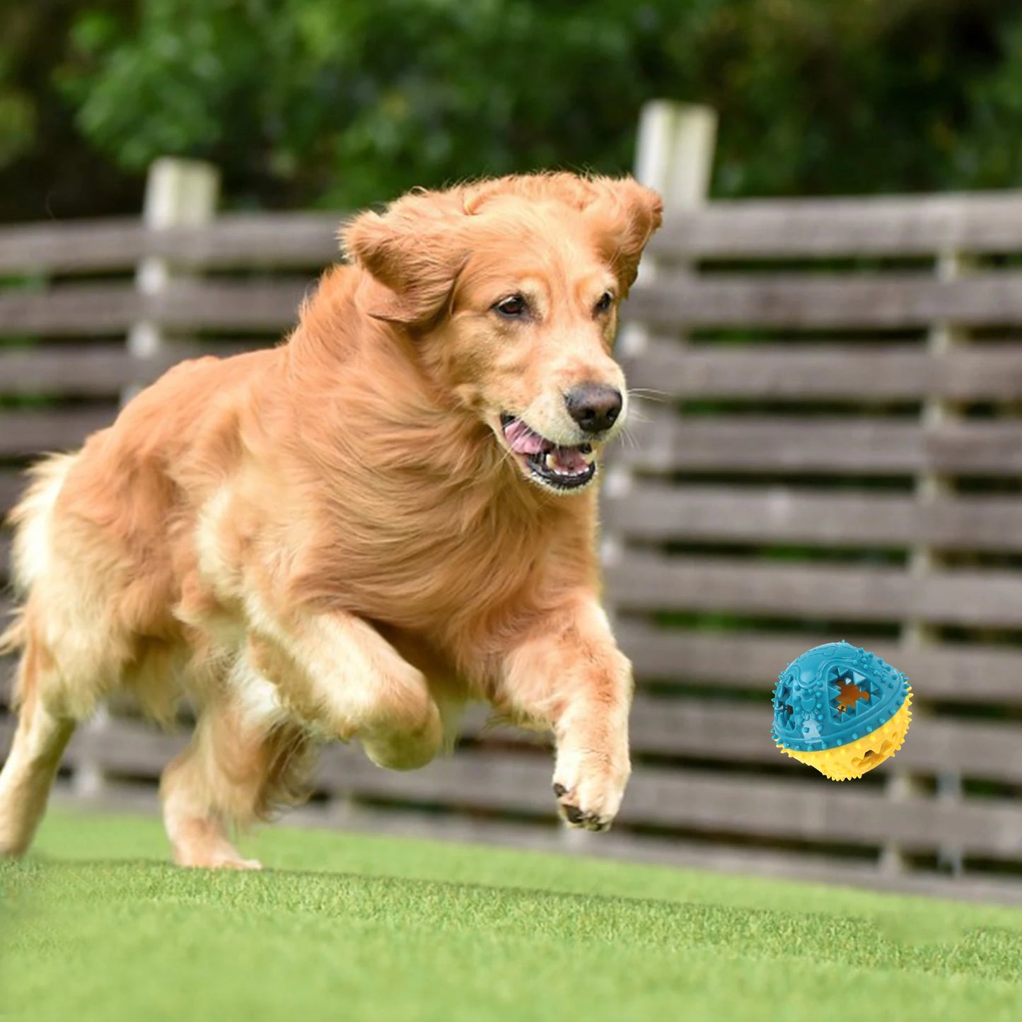 Dog Chew Toys Grinding Teeth