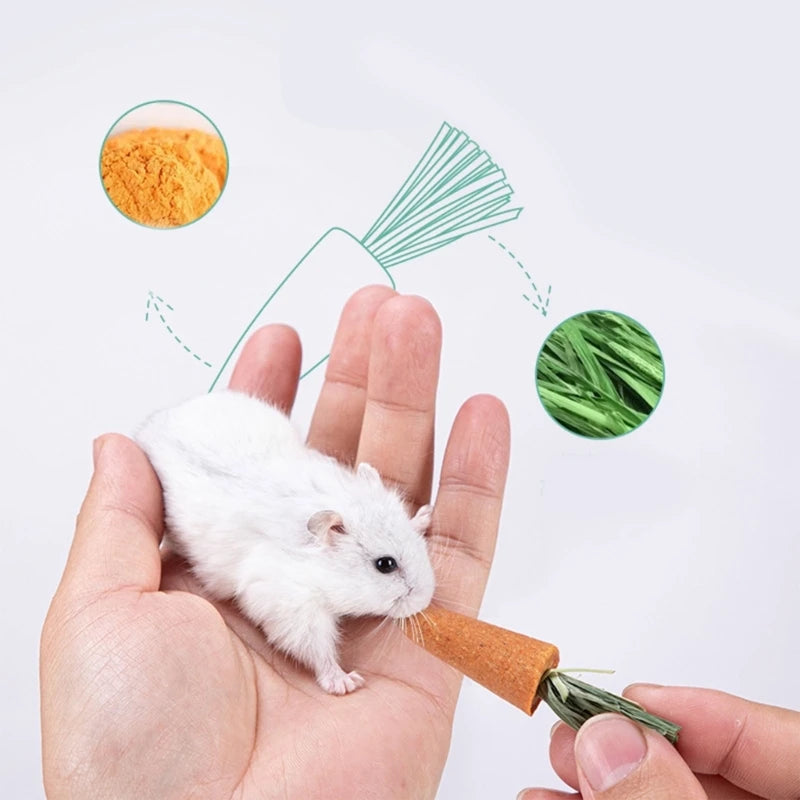 Hamster Treat Rabbit Chew Toy