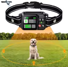 The Ultimate Guide to Wireless Pet Fences: Safe Freedom for Your Pets