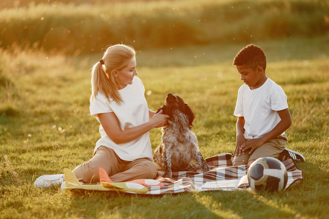10 Simple Ways to Make Your Pet’s Life Happier
