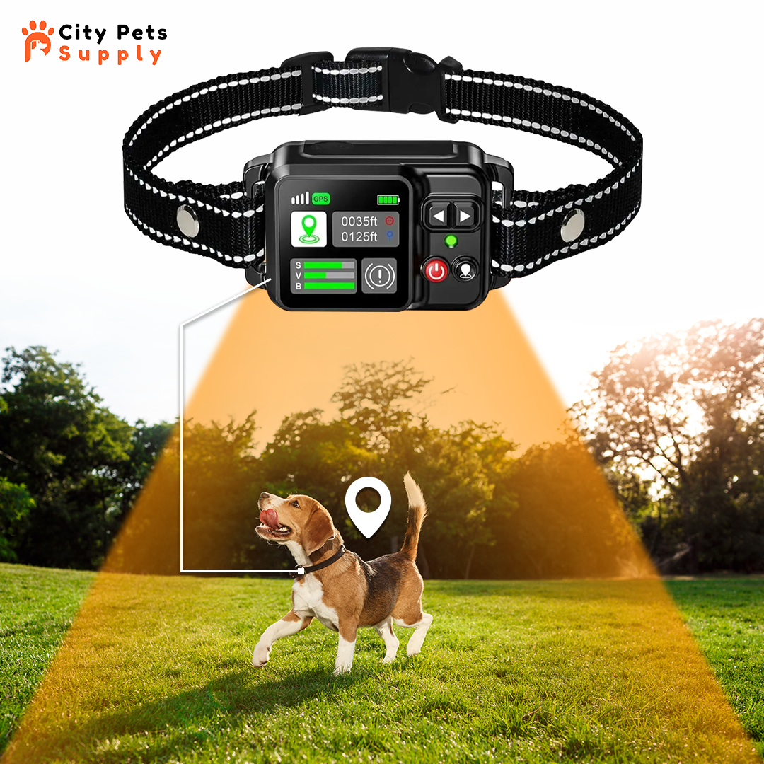 GPS Wireless Dog Fence