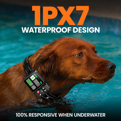 GPS Wireless Dog Fence