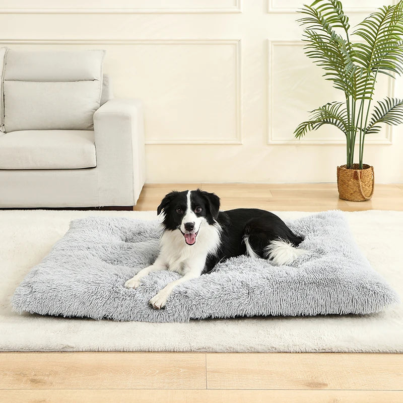 Soft Dog Beds House Soft Long Plush