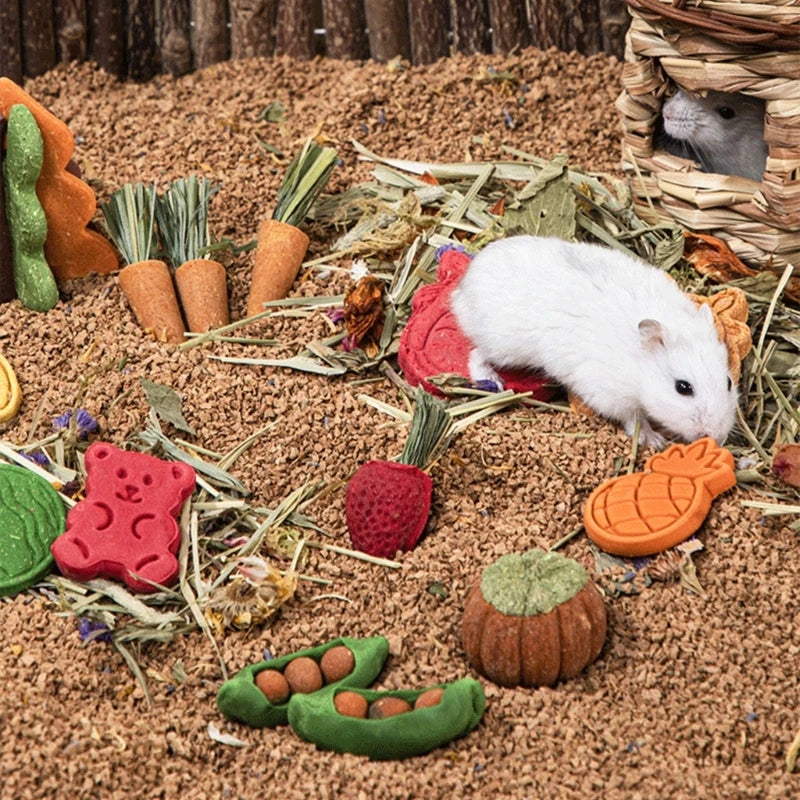 Hamster Treat Rabbit Chew Toy
