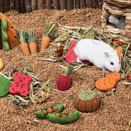 Hamster Treat Rabbit Chew Toy