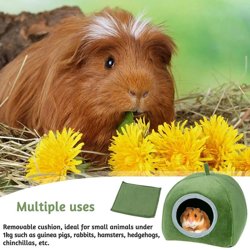 Hamster House Guinea Pig Cage Hamster