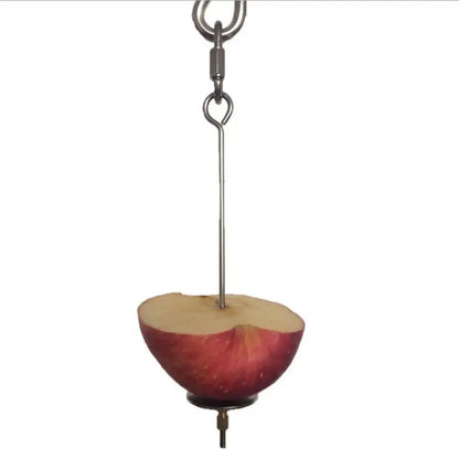New Bird Toy Skewer Fruit Spear