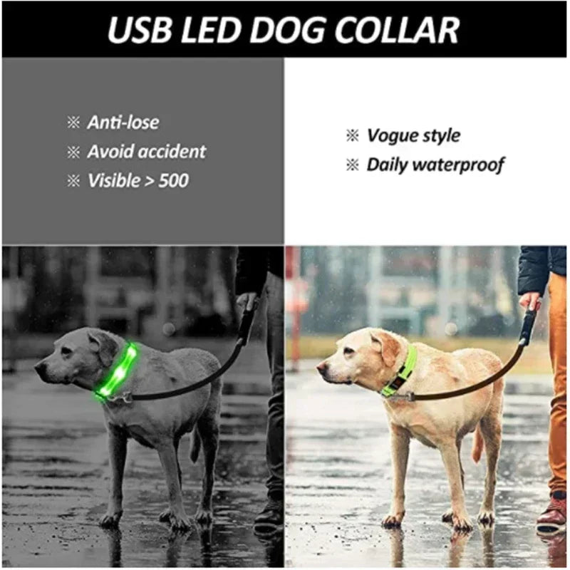 LED Glowing Dog Collar Adjustable Flashing