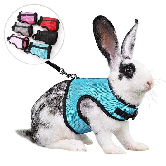 Mutil-Colors Breathable Stylish Vest