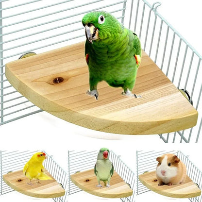 Parrot Bird Wood Perch Stand Platform
