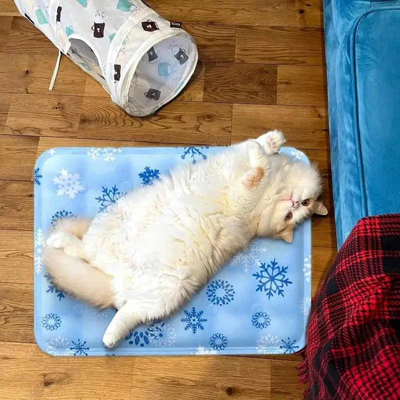 Cooling Beds Cats Accessory