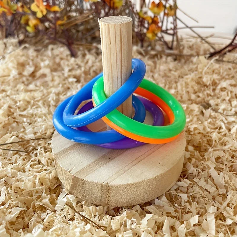 Wooden Interactive Parrot Ring Toy