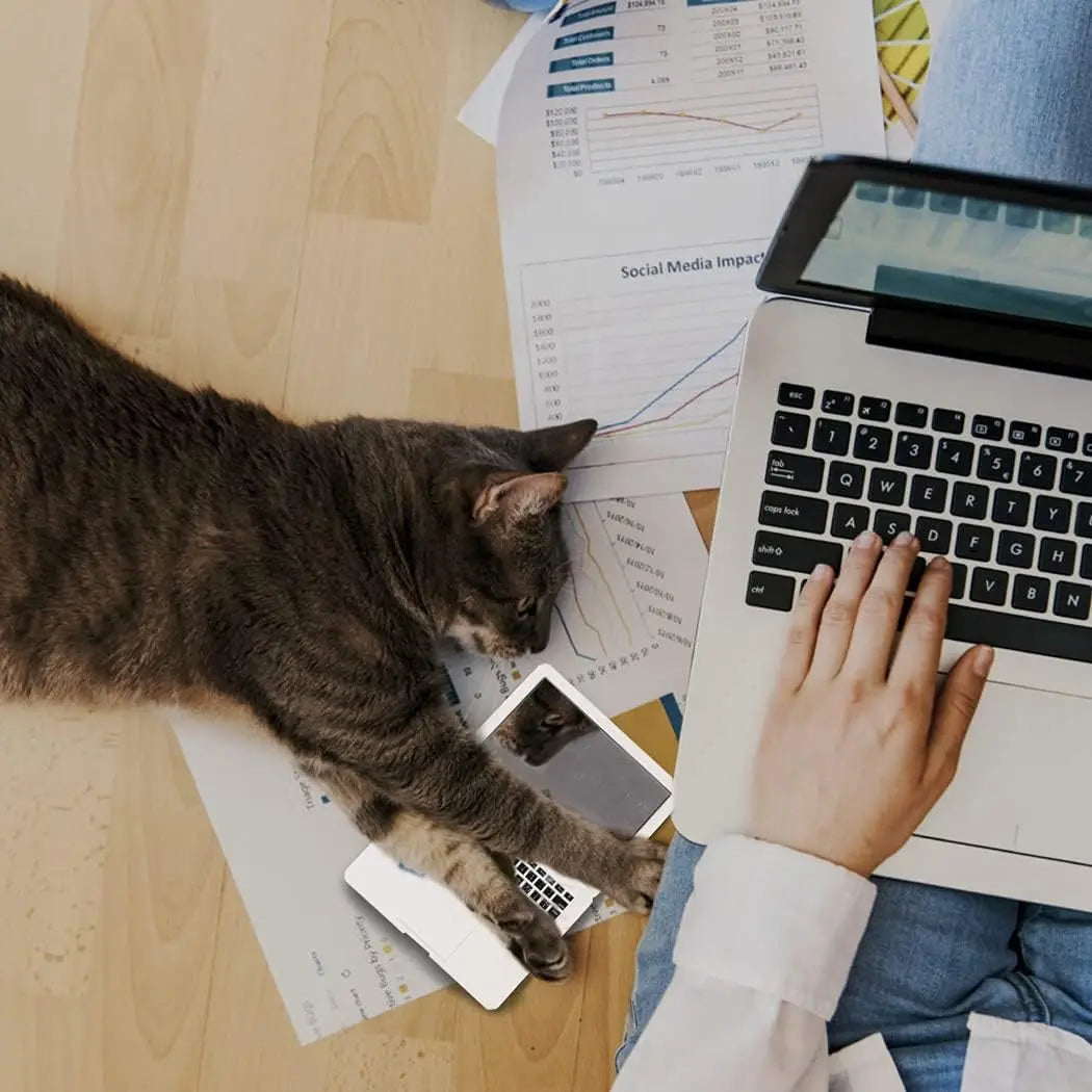 Mini Dollhouse Toy Cat Laptop