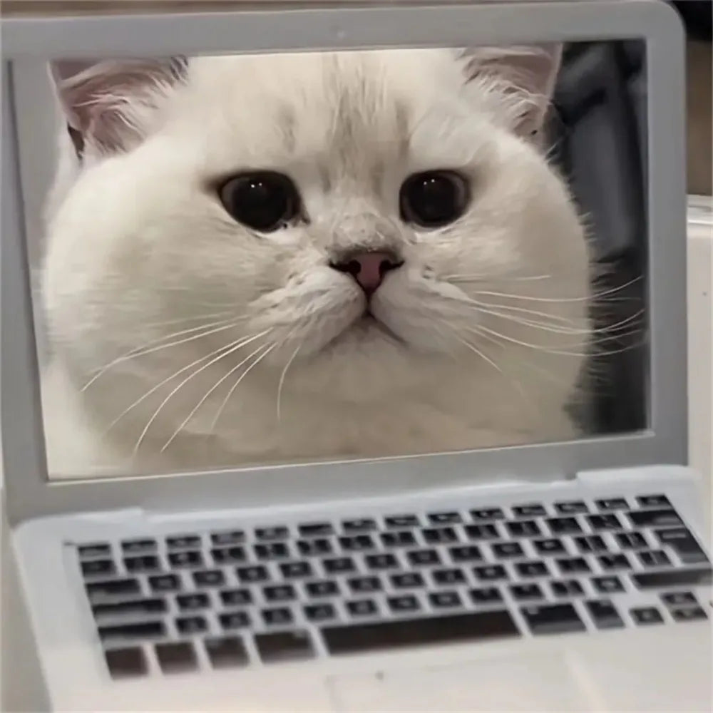 Mini Dollhouse Toy Cat Laptop