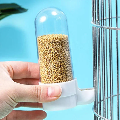 Squirrel Parrot Water Dispenser