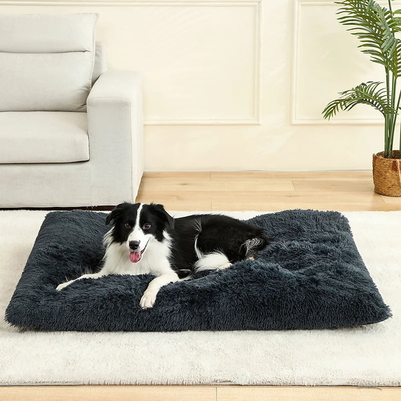 Soft Dog Beds House Soft Long Plush