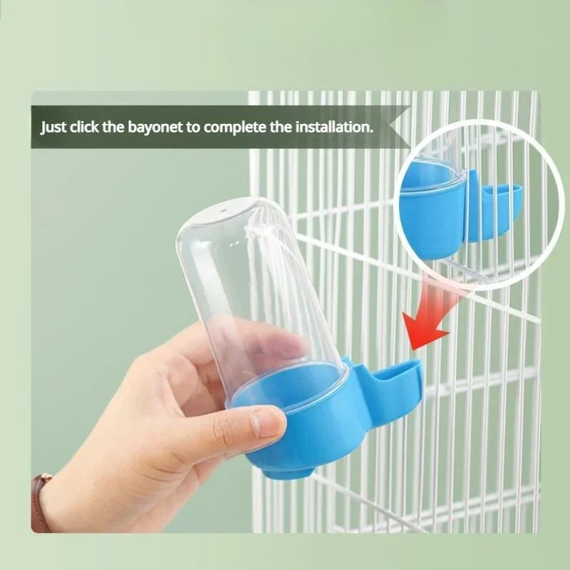 Squirrel Parrot Water Dispenser