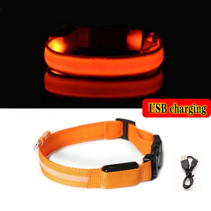 Led Dog Collar Light Anti-lost Collar