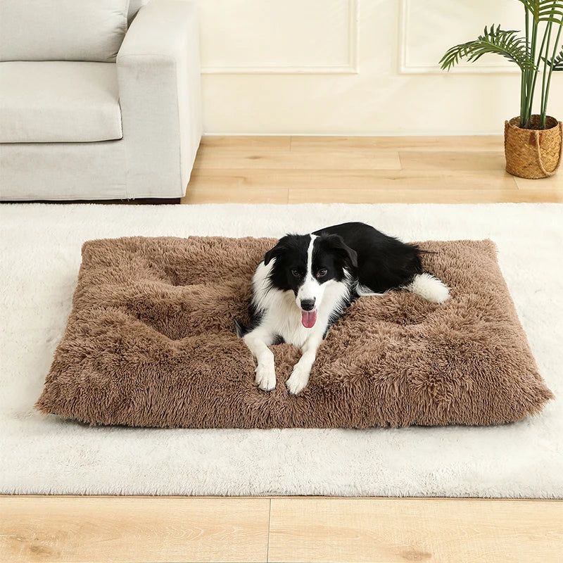Soft Dog Beds House Soft Long Plush