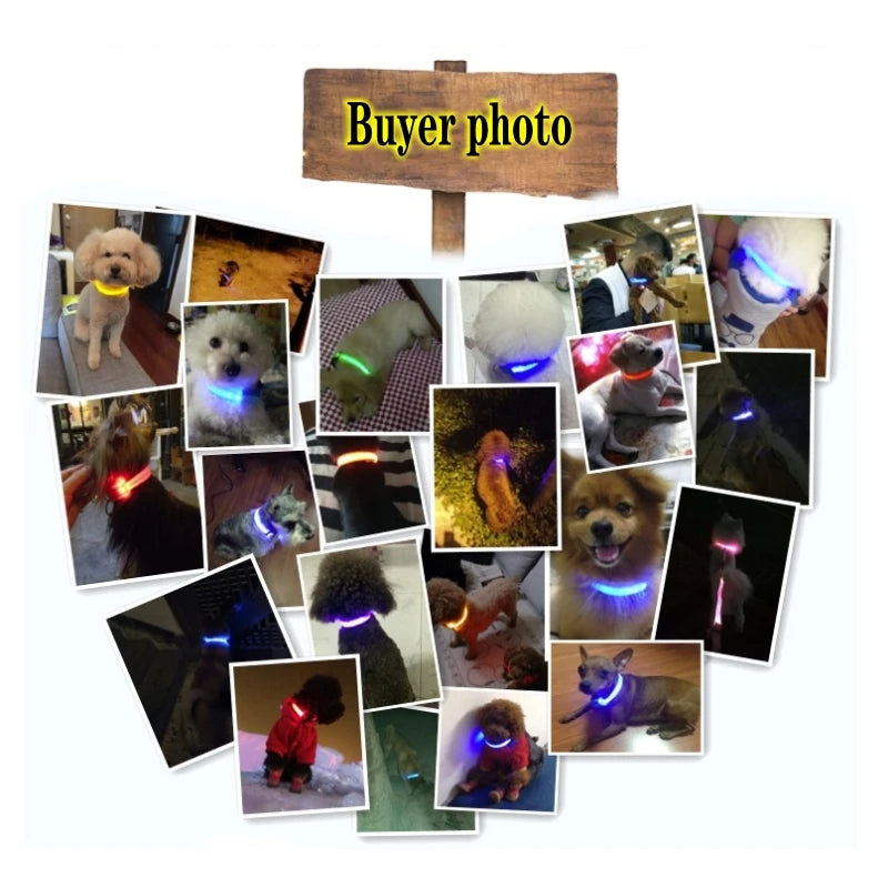 Led Dog Collar Light Anti-lost Collar