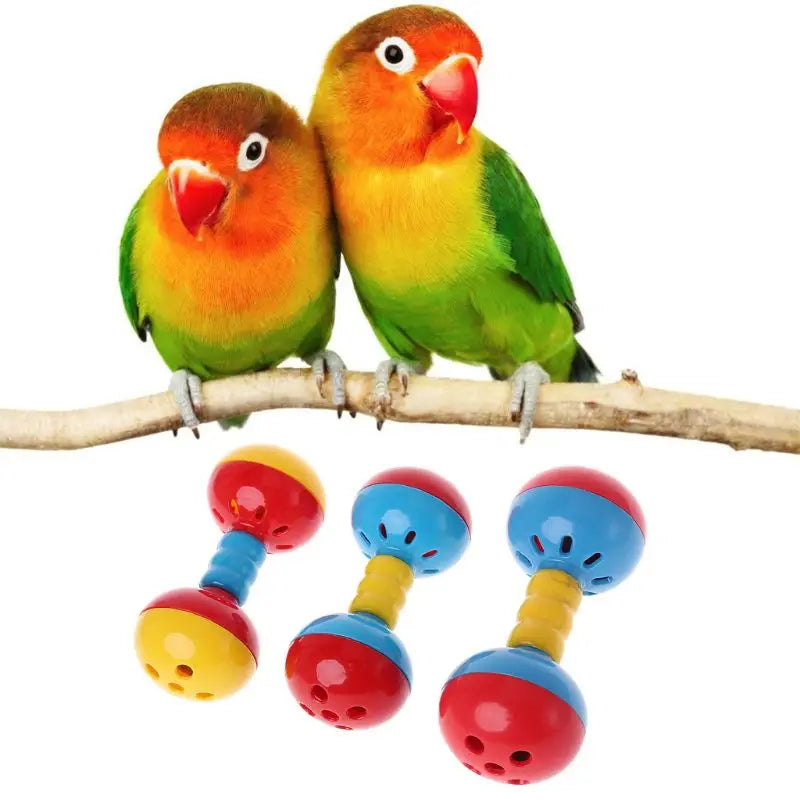 Plastics Interactive Dual Balls Parrot Toy
