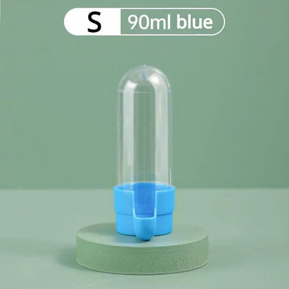 Squirrel Parrot Water Dispenser