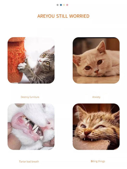 Cat toy Audible carrot tickling cat stick