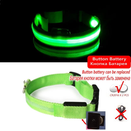 Led Dog Collar Light Anti-lost Collar