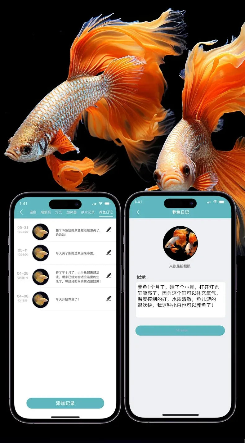 Smart betta dedicated fish tank