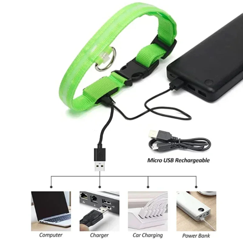 LED Glowing Dog Collar Adjustable Flashing