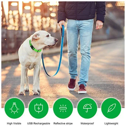 LED Glowing Dog Collar Adjustable Flashing