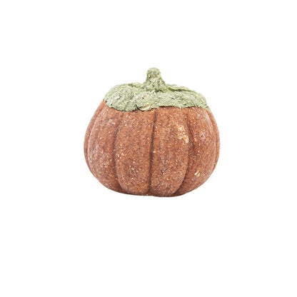 Hamster Treat Rabbit Chew Toy