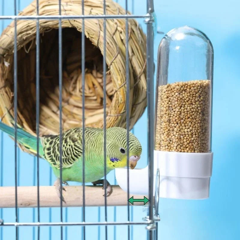 Squirrel Parrot Water Dispenser