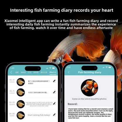 Smart betta dedicated fish tank