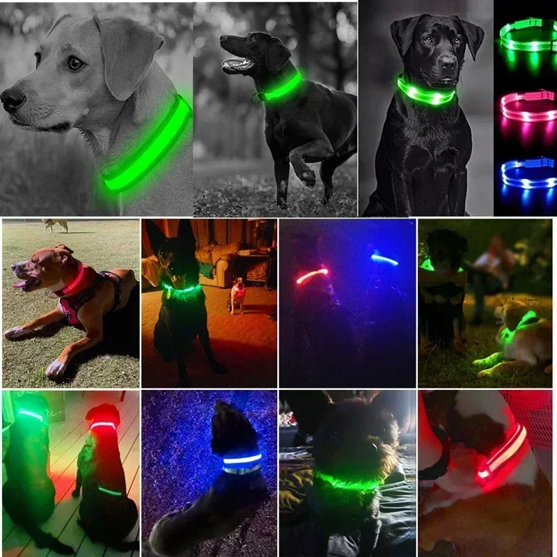 LED Glowing Dog Collar Adjustable Flashing